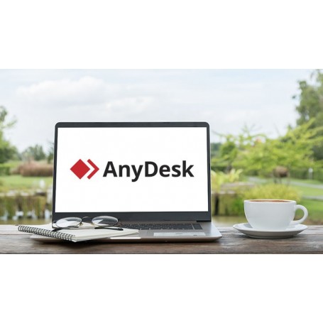 AnyDesk Advanced